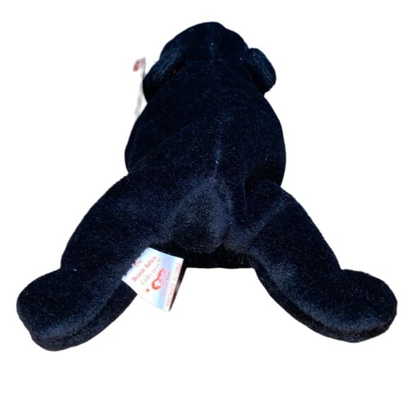 Ty Beanie Babies Blackie Bear Plush Stuffed Animal Hang 4th Gen Tush 4th Gen Tag - Picture 3 of 10